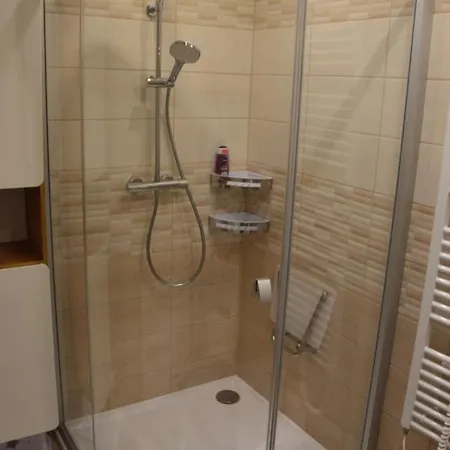 Apartment Horsky Pod Zelenou Strechou Bartosovice v Orlickych Horach