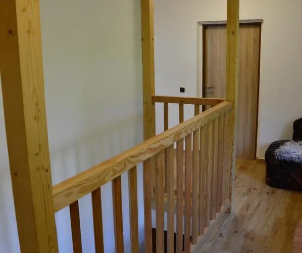 Apartmán Horský Pod Zelenou Střechou Bartosovice v Orlickych Horach