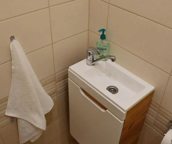 Apartmán Horský Pod Zelenou Střechou Bartosovice v Orlickych Horach