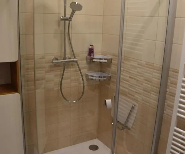 Apartmán Horský Pod Zelenou Střechou Bartosovice v Orlickych Horach
