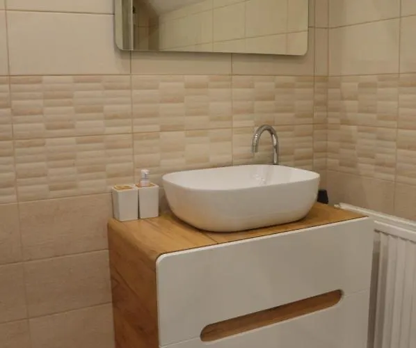 Apartmán Horský Pod Zelenou Střechou Bartosovice v Orlickych Horach